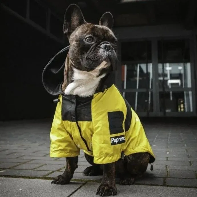 PawMax Raincoat Plus - French Bullog Raincoat