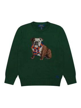 Strickpullover Bulldogge - Grün