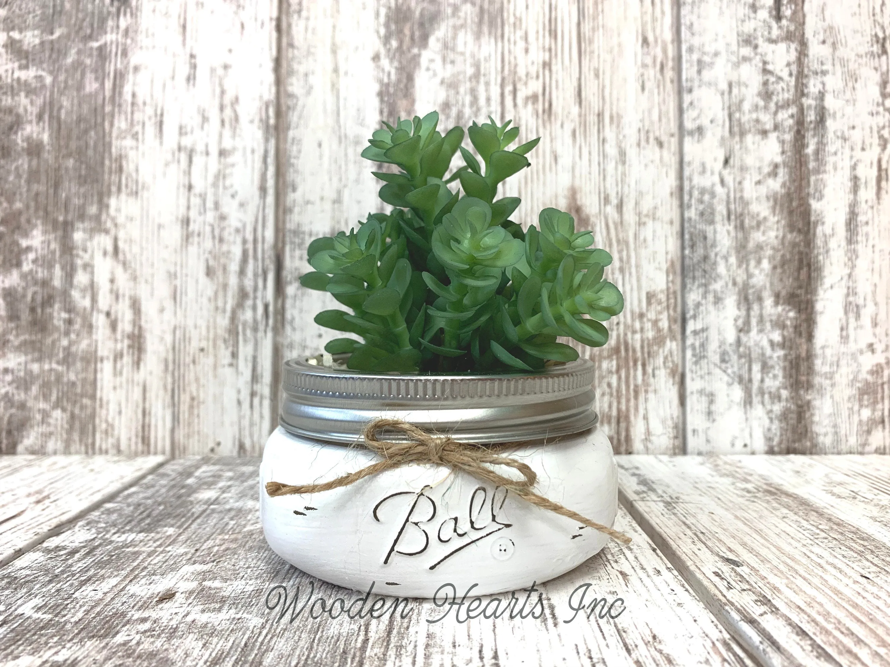 SUCCULENT PLANT in Pot Mason Jar Half Pint or Quilted Farmhouse Decor Ball White Greenery