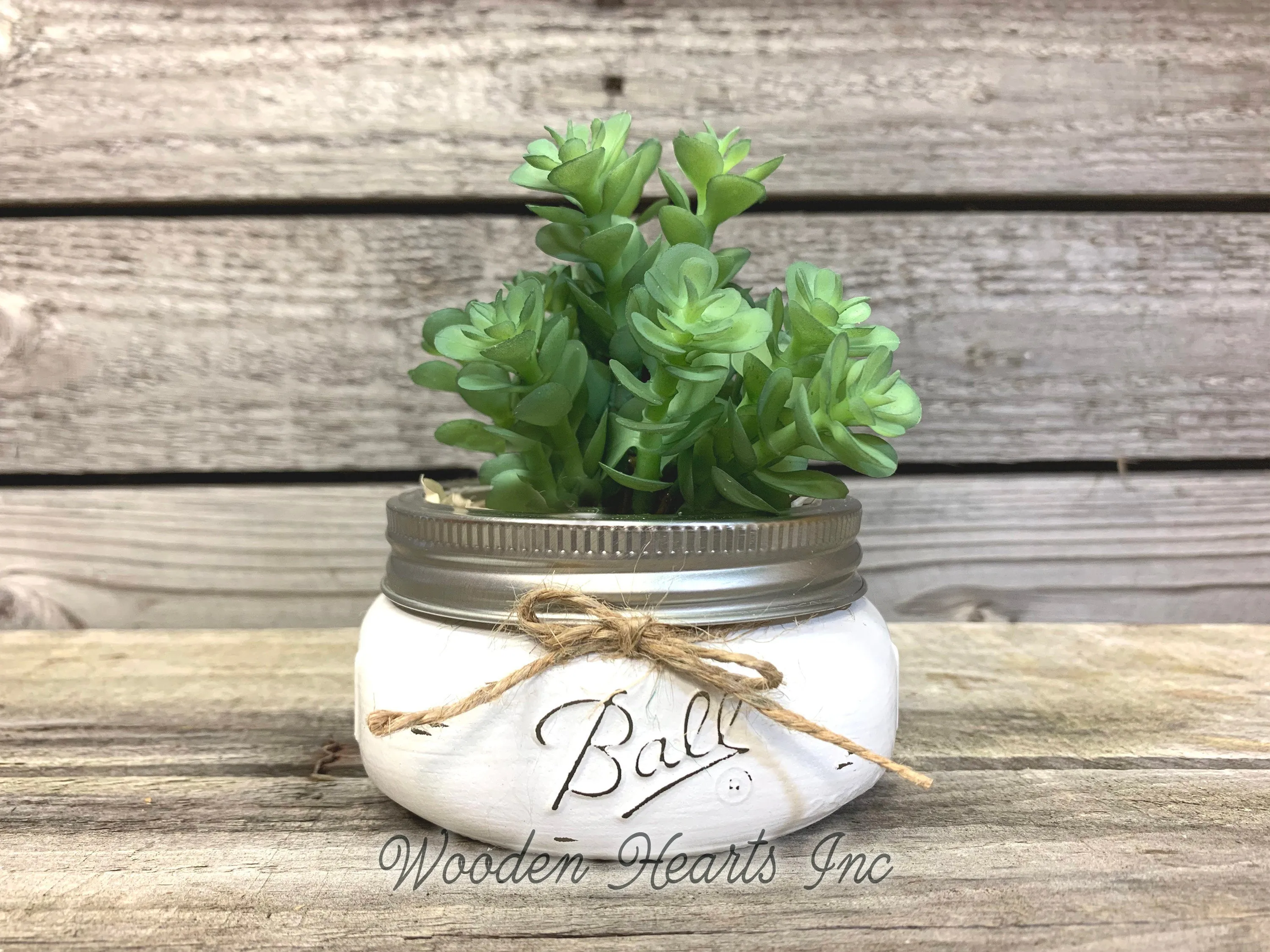 SUCCULENT PLANT in Pot Mason Jar Half Pint or Quilted Farmhouse Decor Ball White Greenery