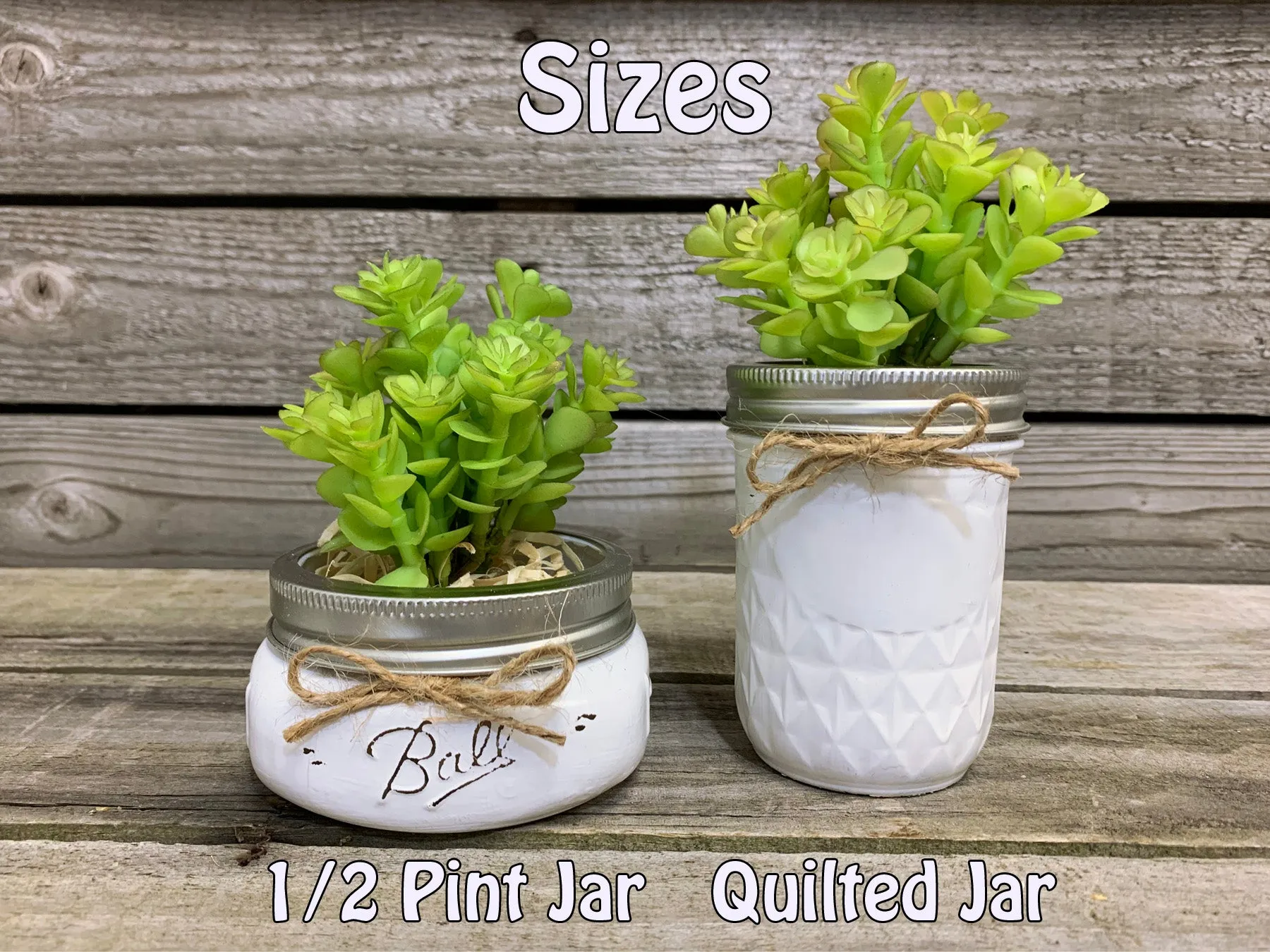 SUCCULENT PLANT in Pot Mason Jar Half Pint or Quilted Farmhouse Decor Ball White Greenery